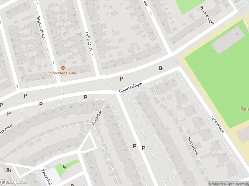 Ambulance met gepaste spoed naar de Goudsesingel in Vlaardingen