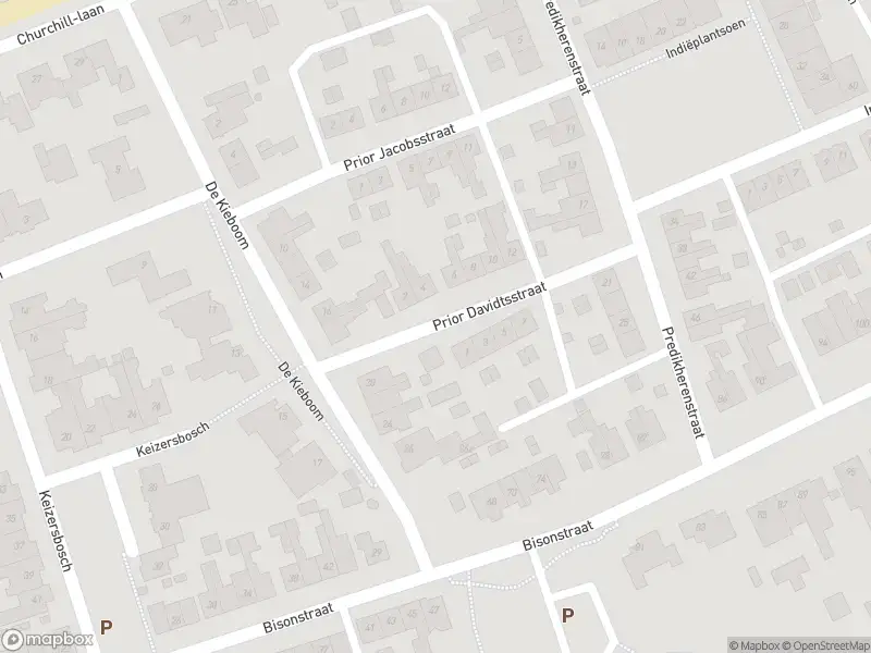 Brandweer met gepaste spoed naar de Prior Davidtsstraat in Gemert