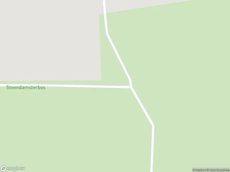 Politie met grote spoed naar de Damsterweg in Steendam vanwege ongeval met letsel