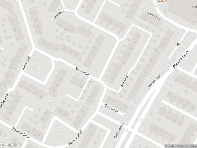 Ambulance met gepaste spoed naar de Acaciahof in Papendrecht