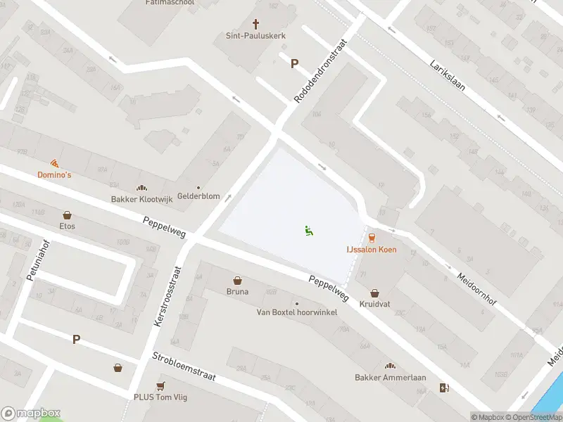 Ambulance met gepaste spoed naar de Rododendronplein in Rotterdam