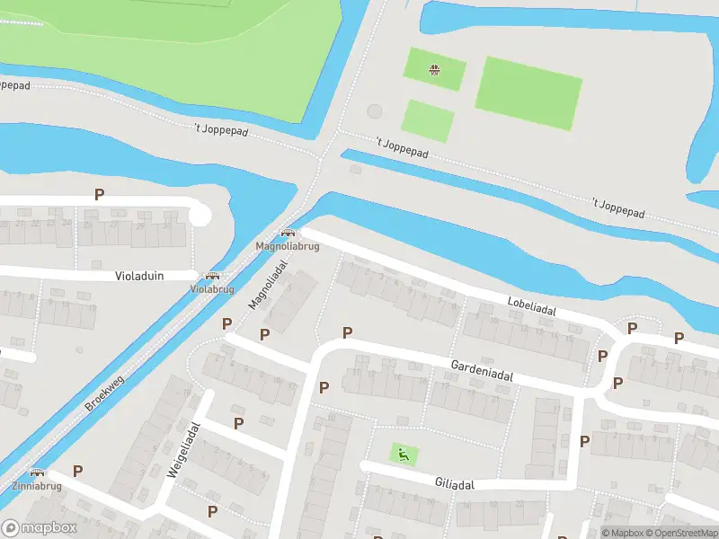 Ambulance met grote spoed naar de Lobeliadal in Leiden