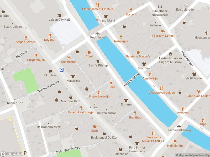 Brandweer met gepaste spoed naar de Rapenburg in Leiden vanwege afgaan automatisch brandalarm
