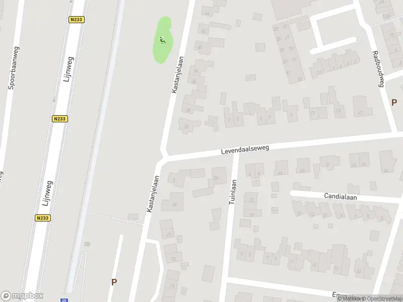 Brandweer met grote spoed naar de Levendaalseweg in Rhenen