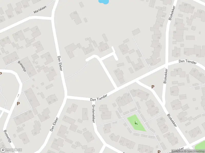 Brandweer met grote spoed naar de den Tiender in Reusel