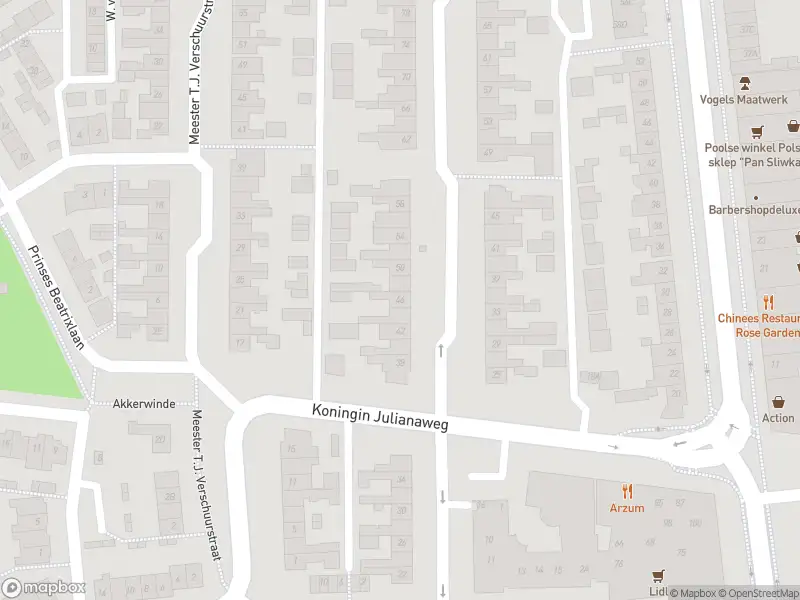 Overlastmelding Meester C. Goselingstraat in Best