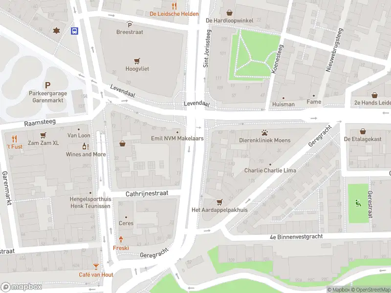 Ambulance met gepaste spoed naar de Oranjeboomstraat in Leiden