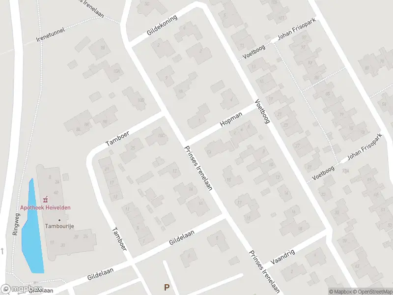 Overlastmelding Prinses Irenelaan in Best