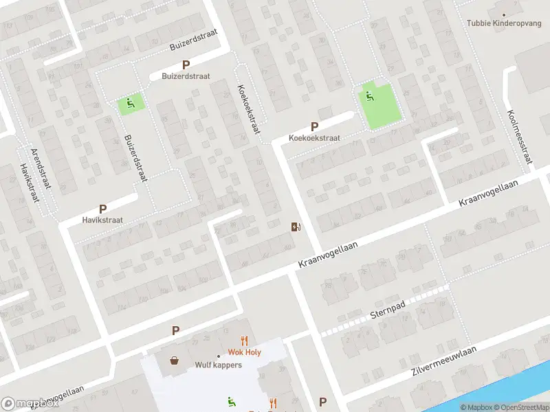 Ambulance met grote spoed naar de Koekoekstraat in Vlaardingen