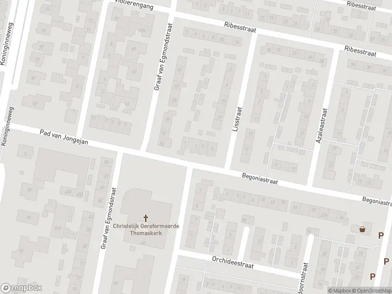 Overlastmelding Begoniastraat in Oud-Beijerland