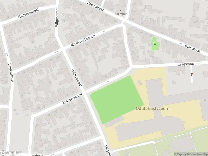 Overlastmelding Esdoornstraat in Tilburg