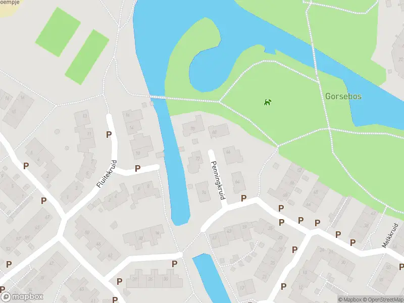 Brandweer met grote spoed naar de Muurvaren in Purmerend vanwege waarnemen gaslucht