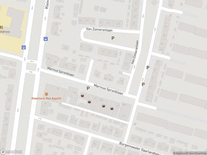 112 melding Overlastmelding Marinus Spronklaan in Gorinchem