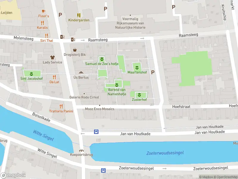 Ambulance met grote spoed naar de Barend van Namenshof in Leiden