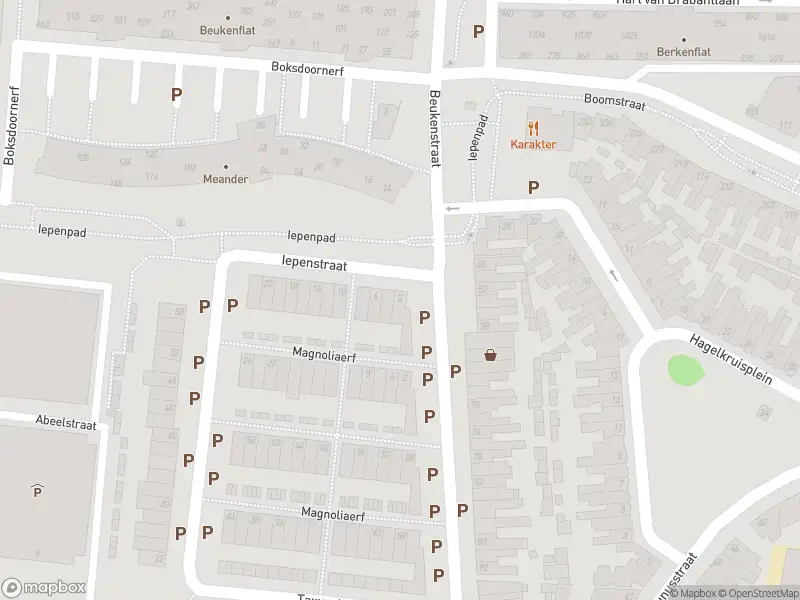 Overlastmelding Iepenpad in Tilburg