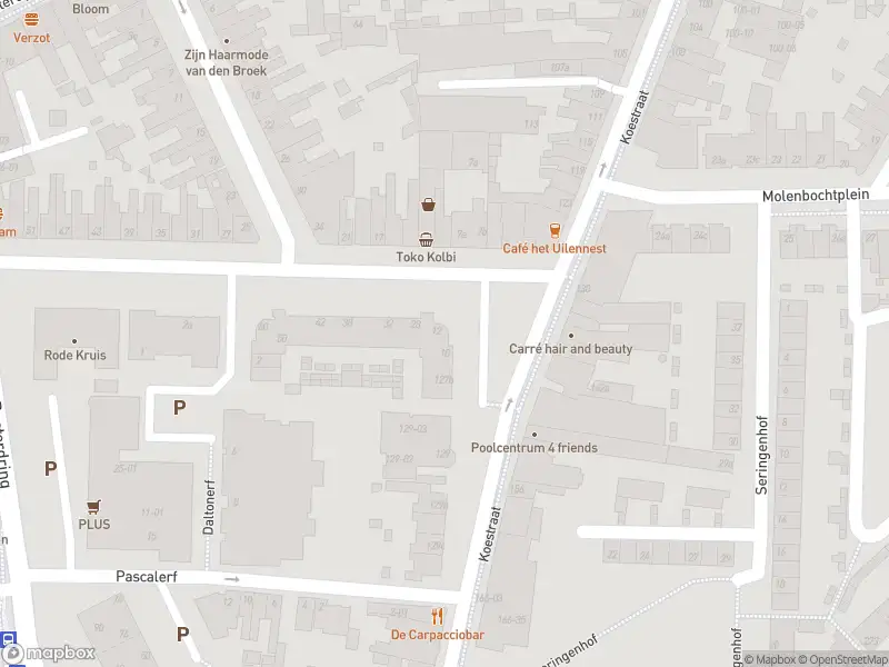 112 melding Anonieme overlastmelding Leonard van Vechelstraat in Tilburg