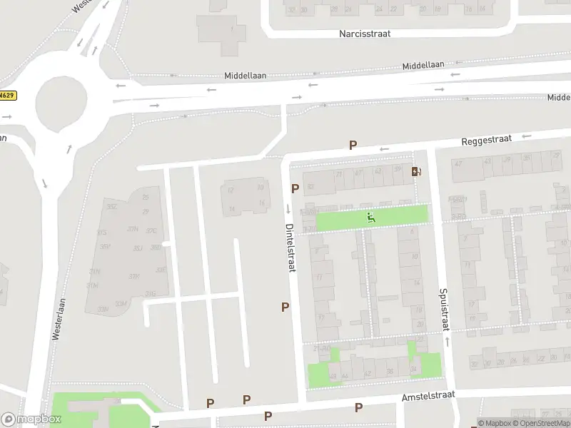 Overlastmelding Dintelstraat in Dongen