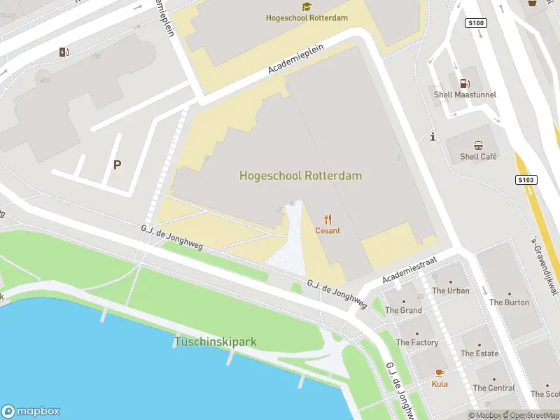 Ambulance met gepaste spoed naar de G.J. de Jonghweg in Rotterdam