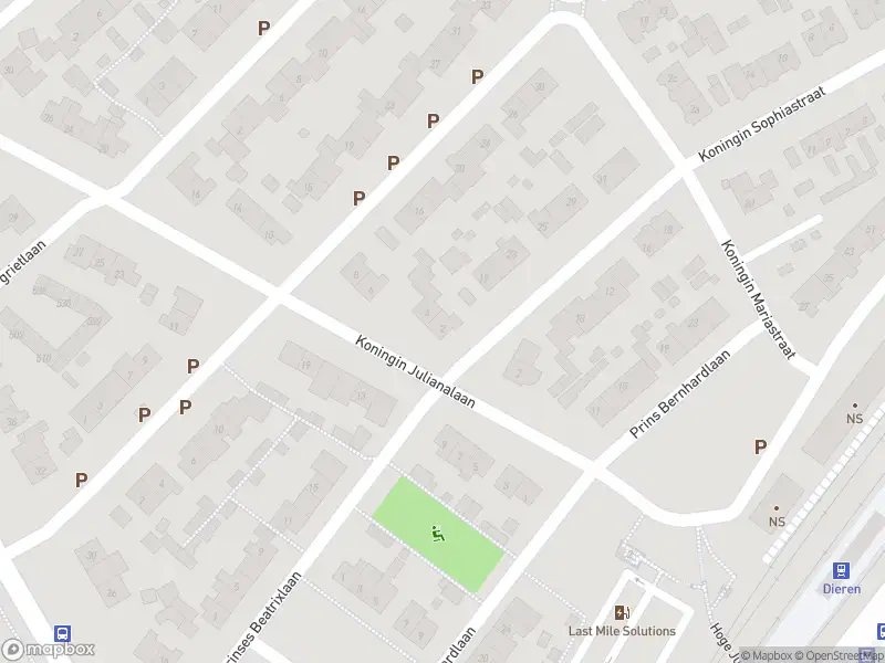 Overlastmelding Koningin Julianalaan in Dieren gesloten