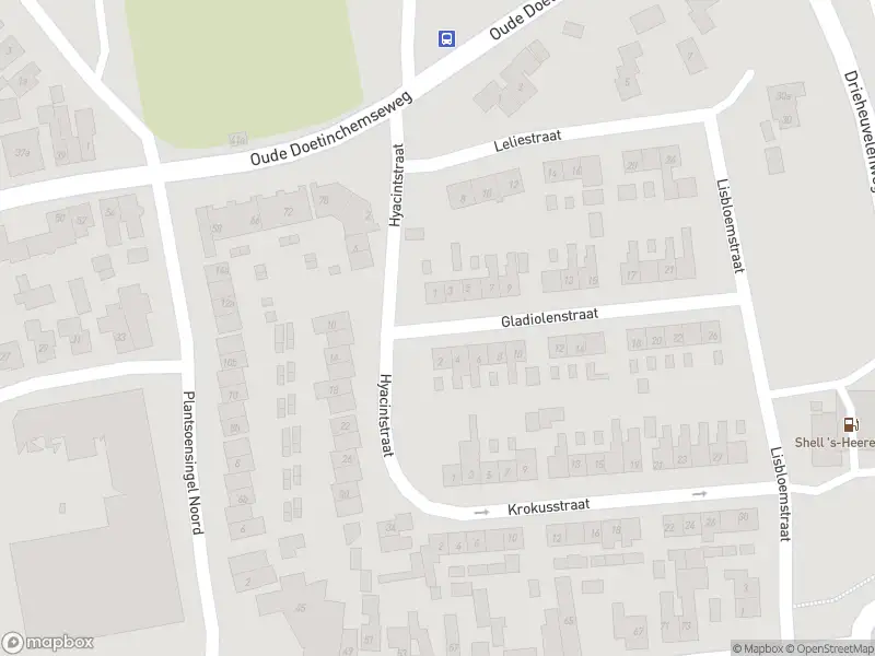 Brandweer met grote spoed naar de Gladiolenstraat in 's-Heerenberg vanwege waarnemen gaslucht