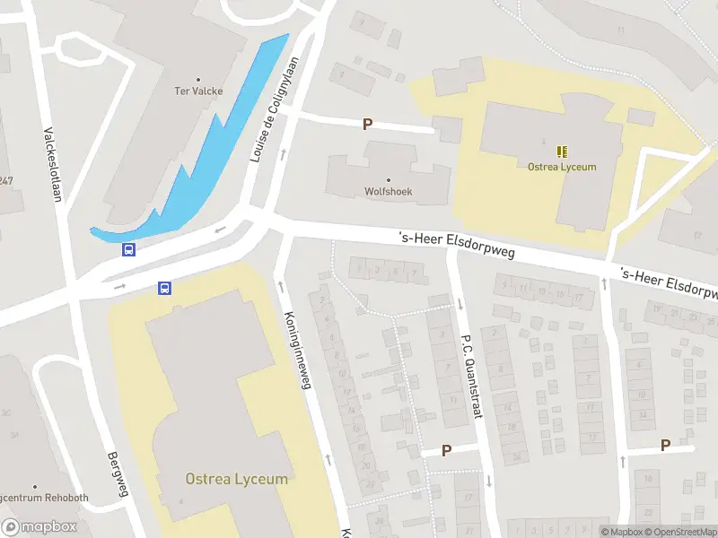 Overlastmelding 's-Heer Elsdorpweg in Goes