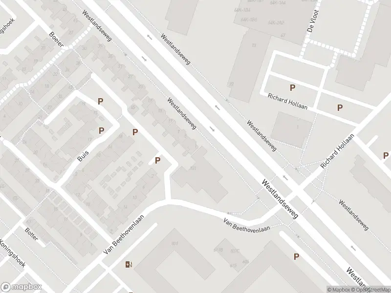 112 melding Overlastmelding Drijver in Maassluis