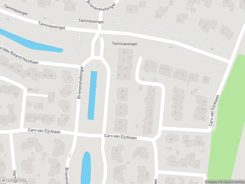 Overlastmelding Brienenshofsingel in Elst