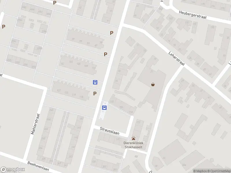 Overlastmelding Strausslaan in Tilburg