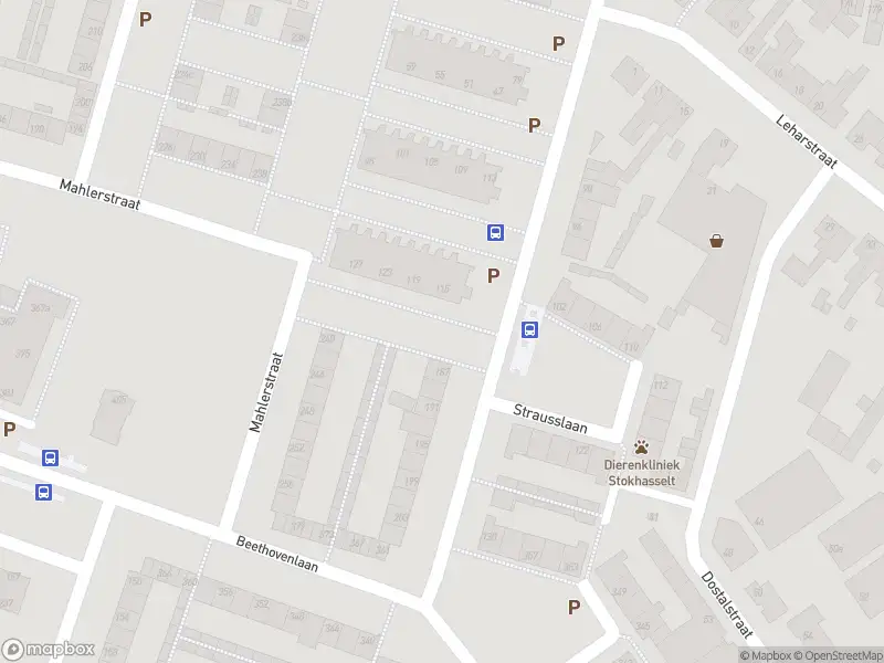 Overlastmelding Strausslaan in Tilburg