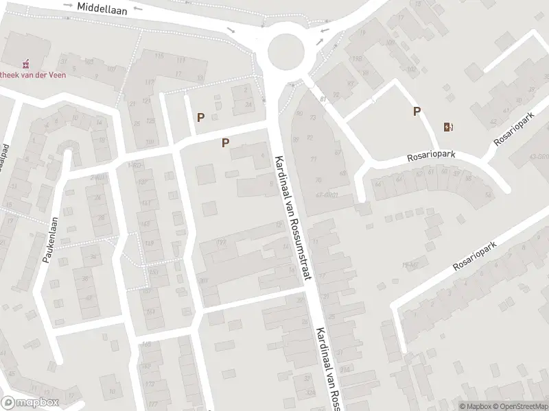 Overlastmelding Kardinaal van Rossumstraat in Dongen gesloten