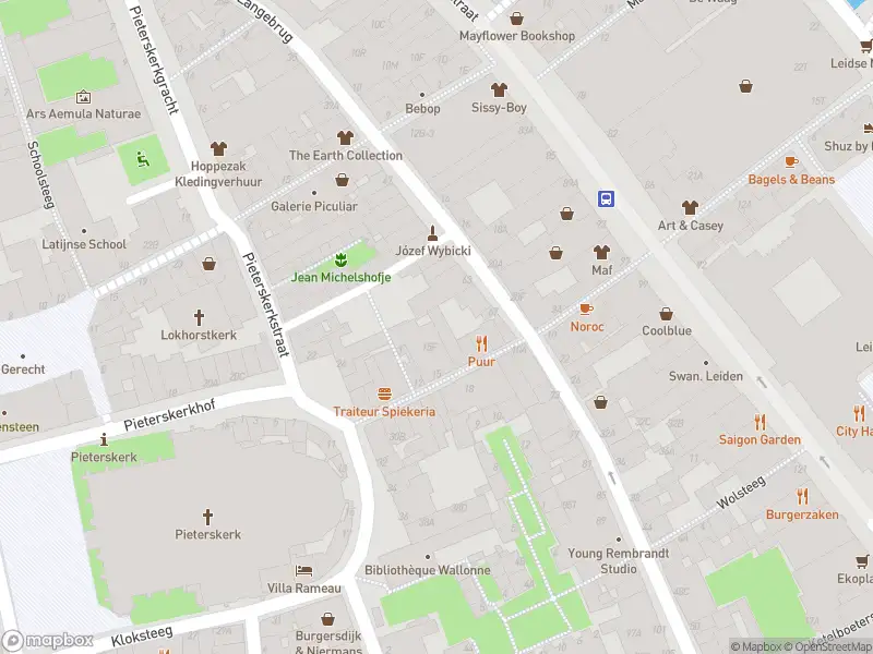 Ambulance met gepaste spoed naar de Aalmarkt in Leiden