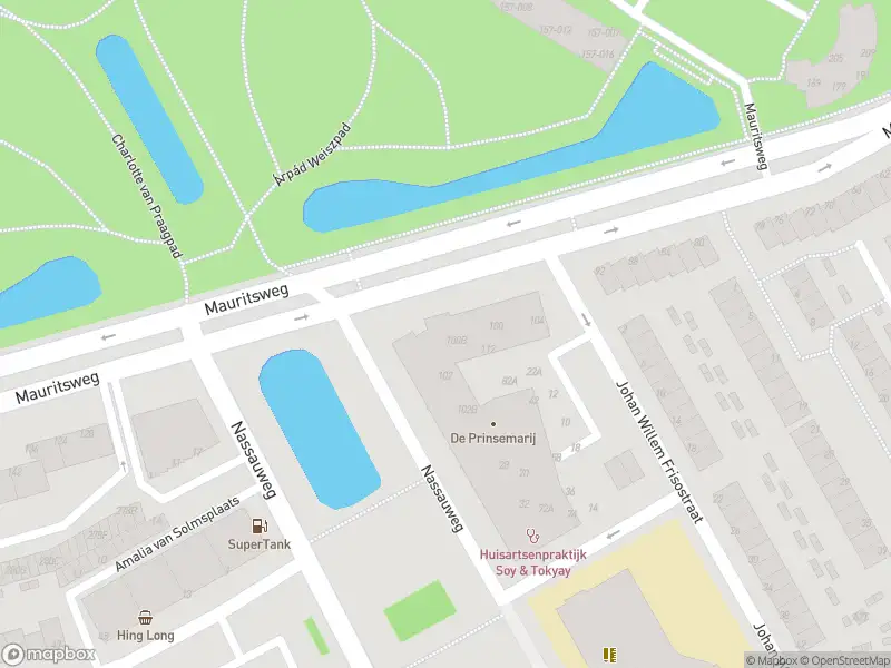 Overlastmelding Charlotte de Bourbonstraat in Dordrecht