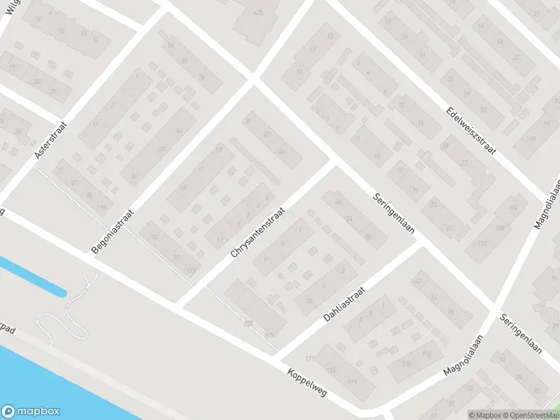 Overlastmelding Chrysantenstraat in Doesburg