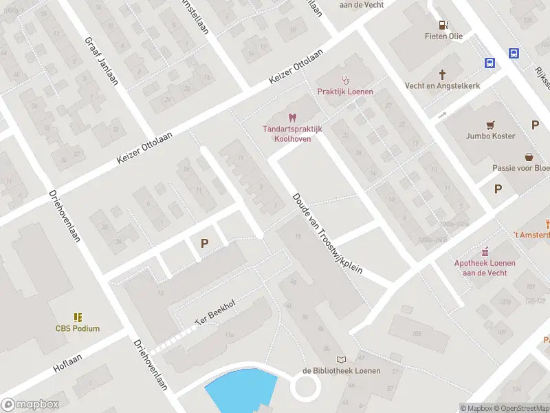 112 melding Overlastmelding Doude van Troostwijkplein in Loenen aan de Vecht