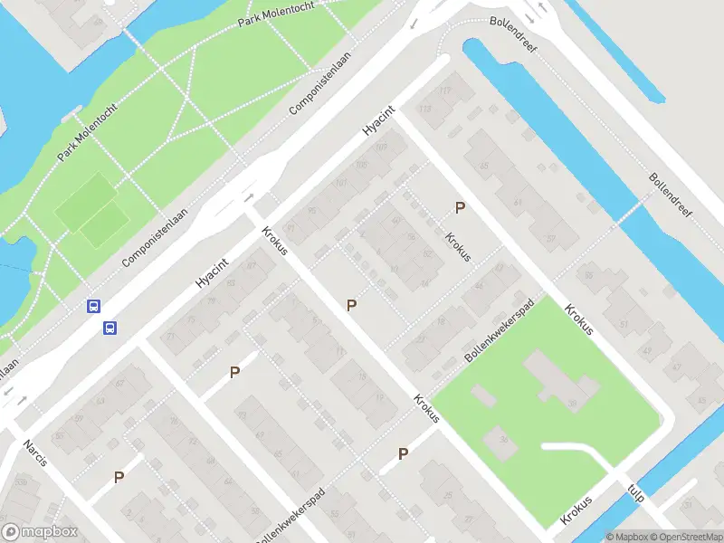 Overlastmelding Krokus in Voorhout