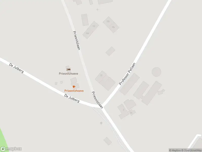 Overlastmelding Priesnitzlaan in Laag-Soeren
