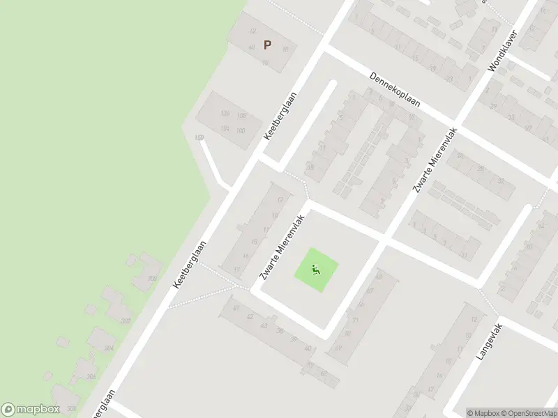 Overlastmelding Zwarte Mierenvlak in IJmuiden