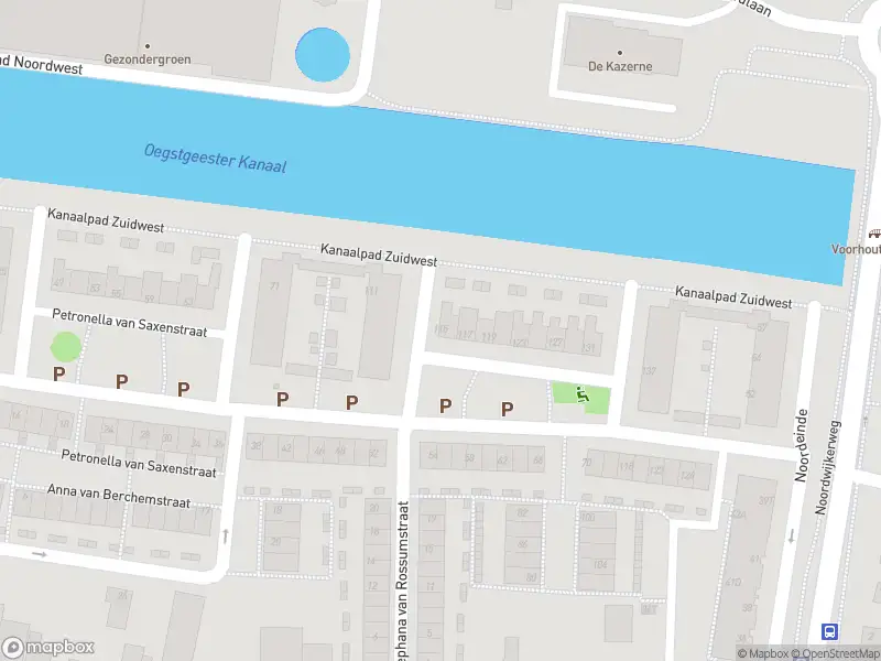 Overlastmelding Petronella van Saxenstraat in Rijnsburg
