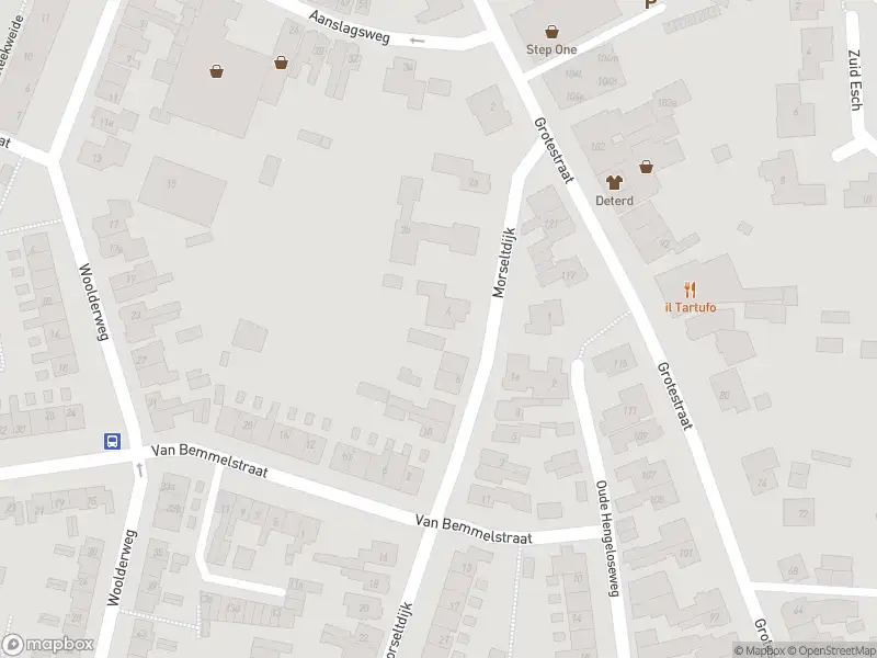 Brandweer met gepaste spoed naar de Van Bemmelstraat in Borne