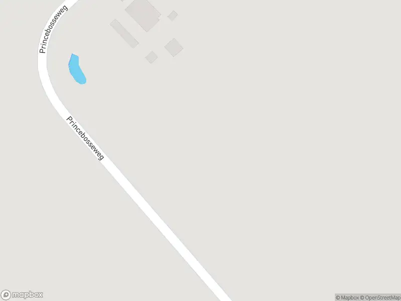 Politie met gepaste spoed naar de Princebosseweg in Kruisland vanwege letsel