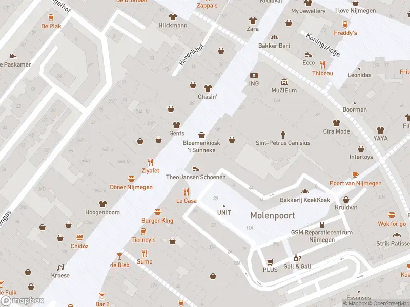 Brandweer met gepaste spoed naar de Tweede Walstraat in Nijmegen