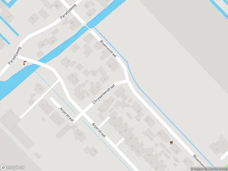 Ambulance met grote spoed naar de Chrysantenstraat in Ter Aar