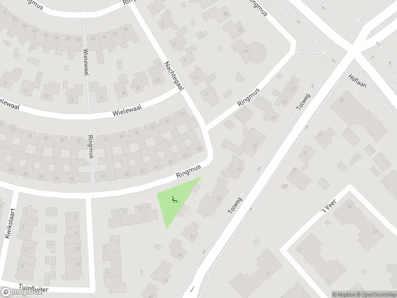 112 melding Anonieme overlastmelding Ringmus in Heemskerk