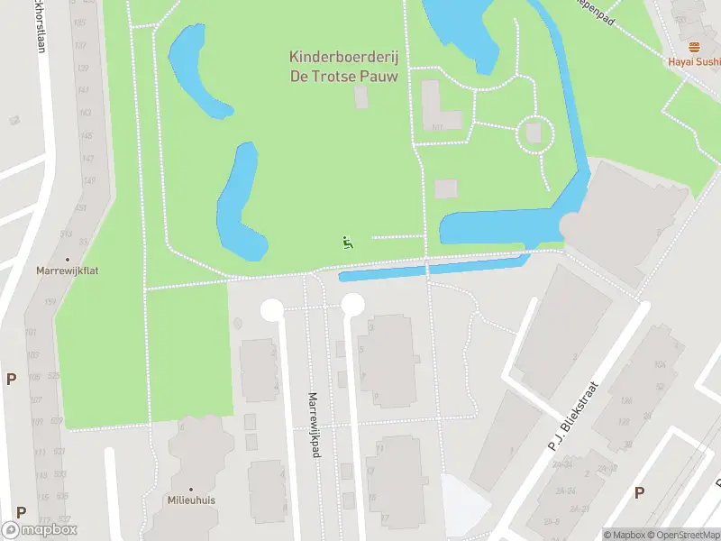Ambulance met gepaste spoed naar de Marrewijkpad in Spijkenisse