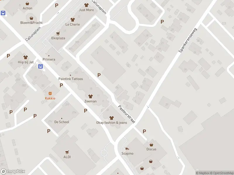 Overlastmelding Pasteurstraat in Dieren gesloten