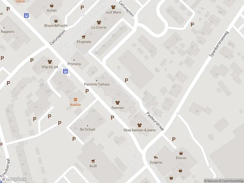 Overlastmelding Pasteurstraat in Dieren gesloten