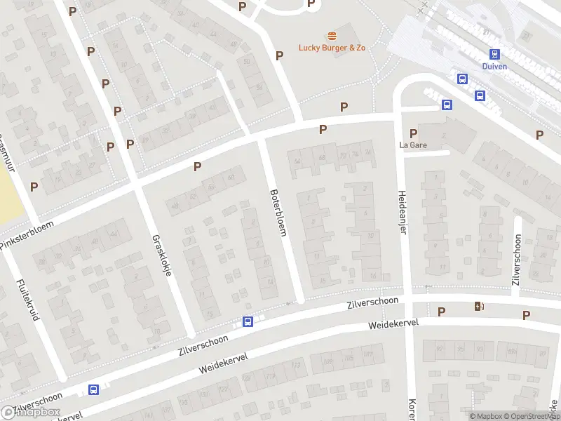 Overlastmelding Boterbloem in Duiven gesloten