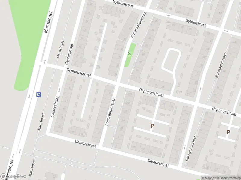 Overlastmelding Auroraplantsoen in Arnhem