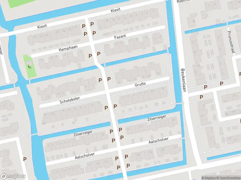 Ambulance naar de Grutto in Leimuiden