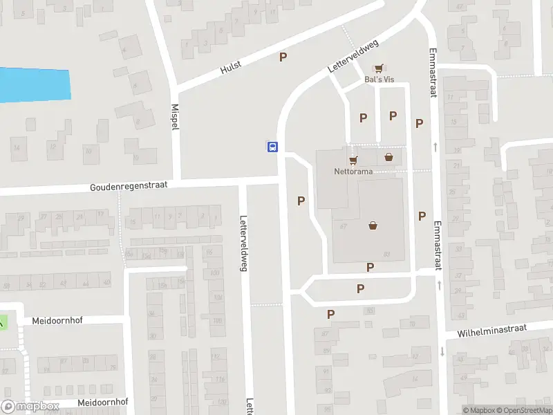 Brandweer met gepaste spoed naar de Wingerdstraat in Borne vanwege stormschade